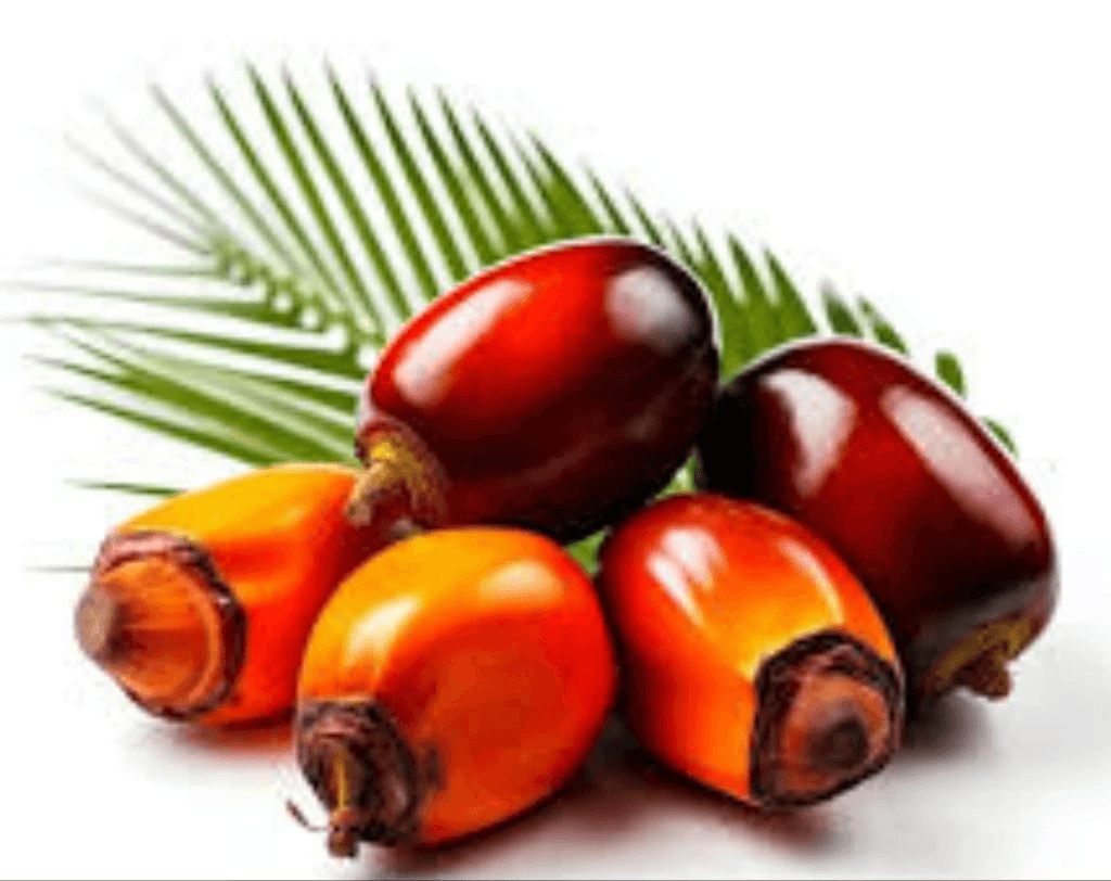 Palm Oil