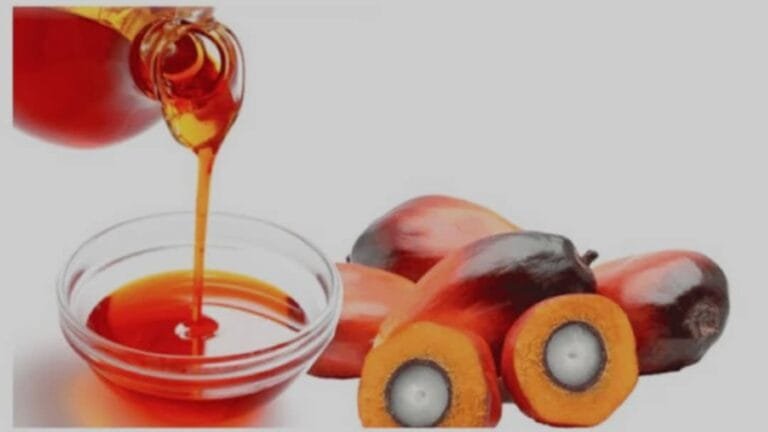 Palm oil