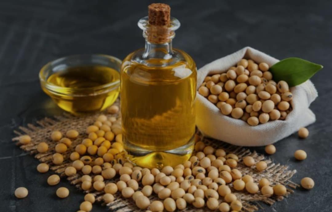 Best Cooking Oil