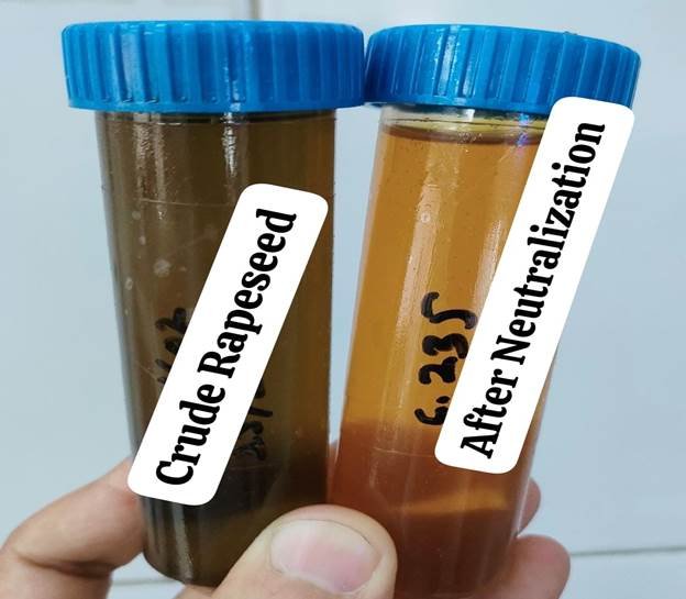 Neutralization in edible oils