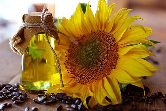 Origins of Vegetable Oil