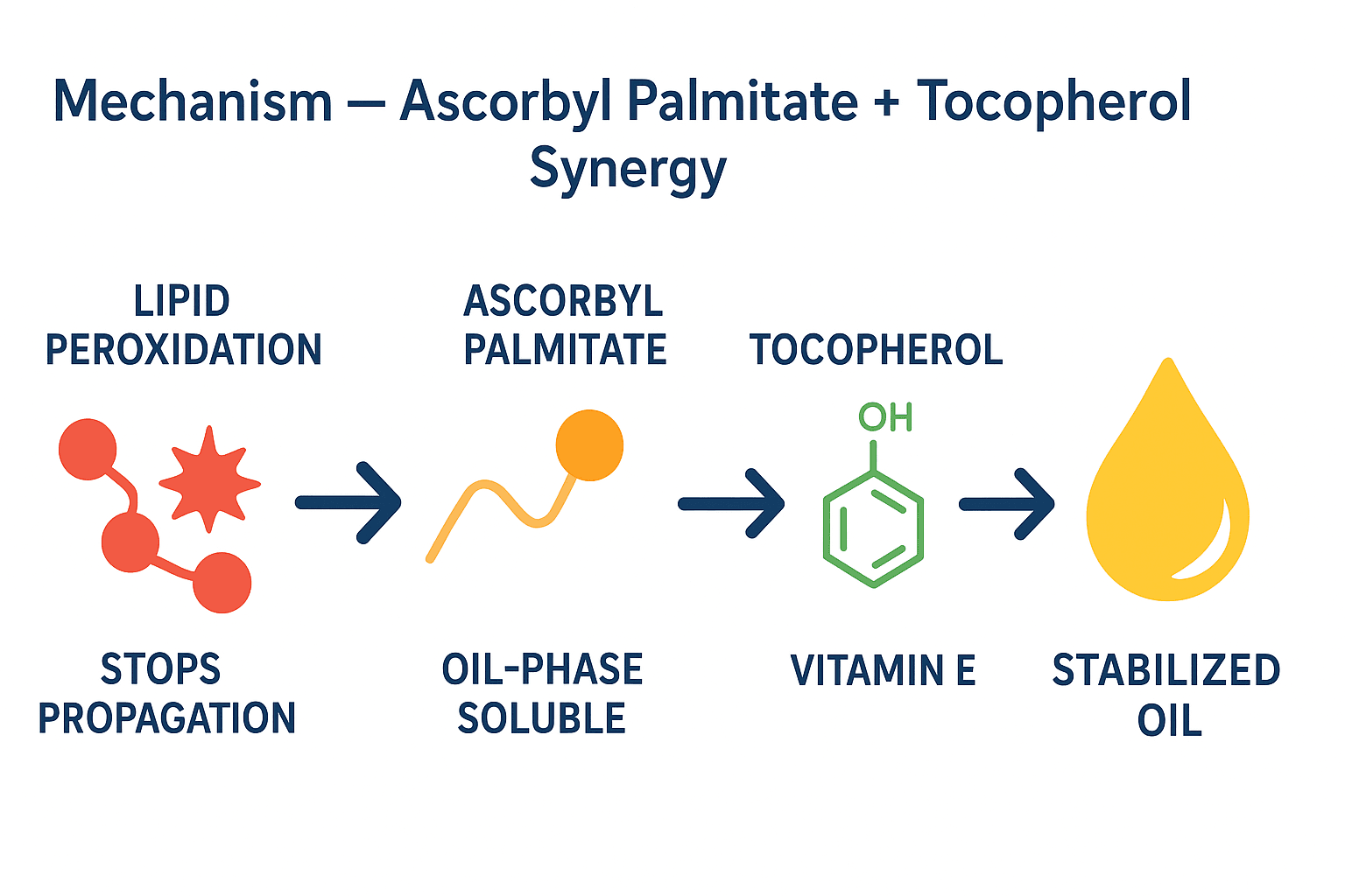 Natural Antioxidant Ascorbyl Palmitate